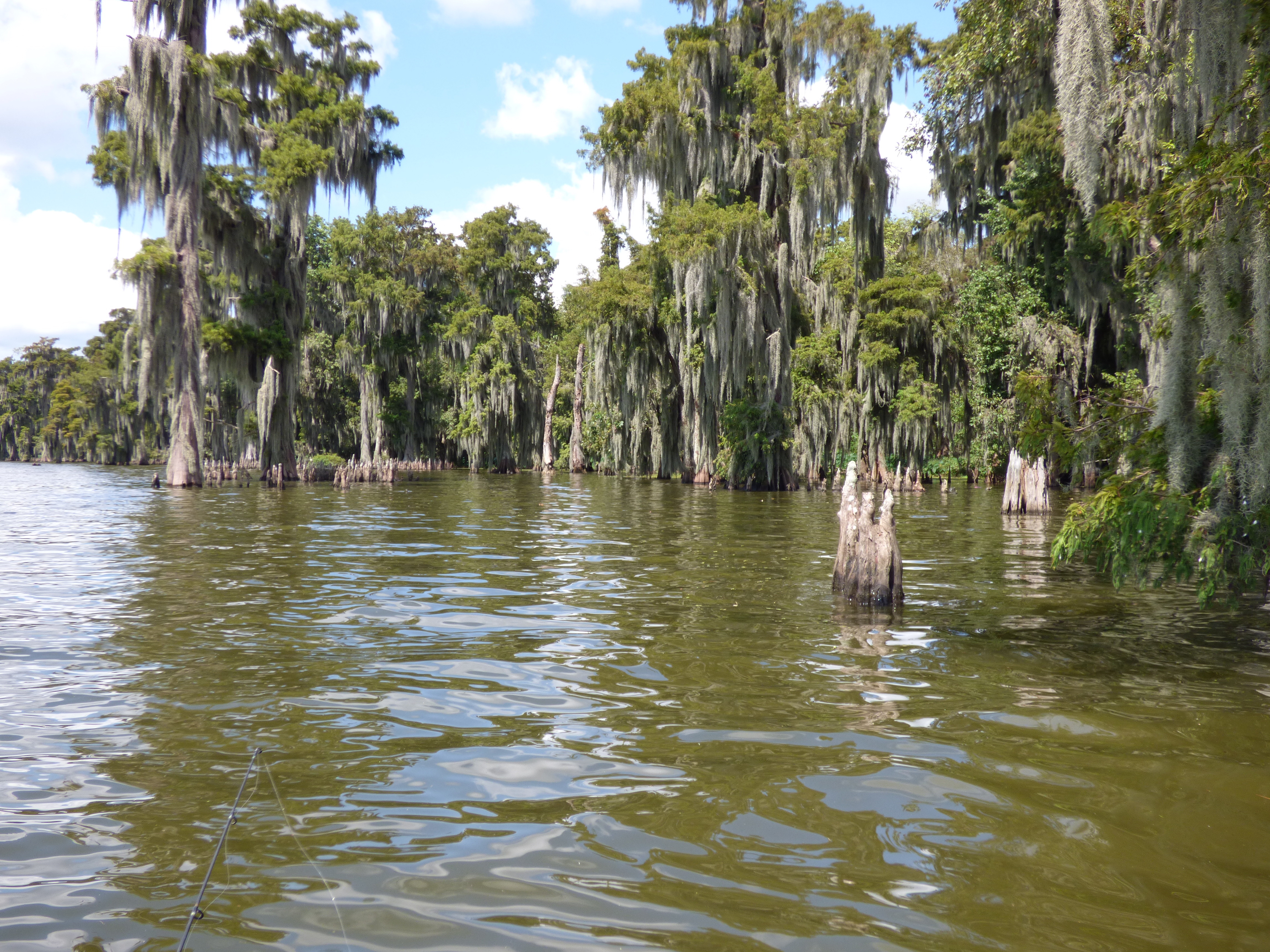 The Cajun World Eats, Cajun food blog, Creole food blog